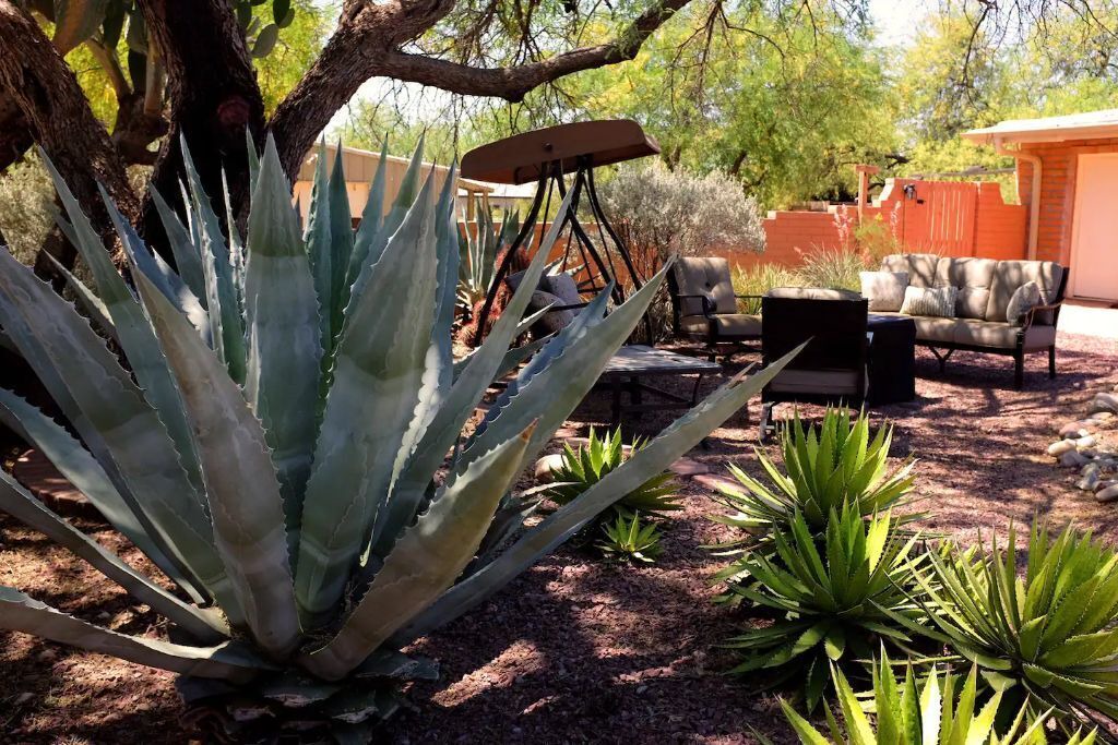 Photo of Outdoor in Tanque Verde
