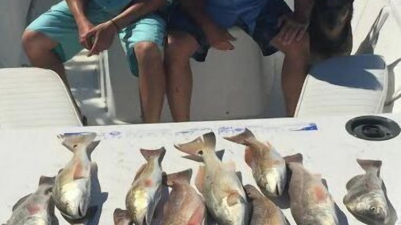 Photo of Others in Aransas Pass