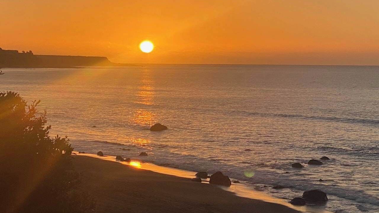 Photo of Others in Oakura