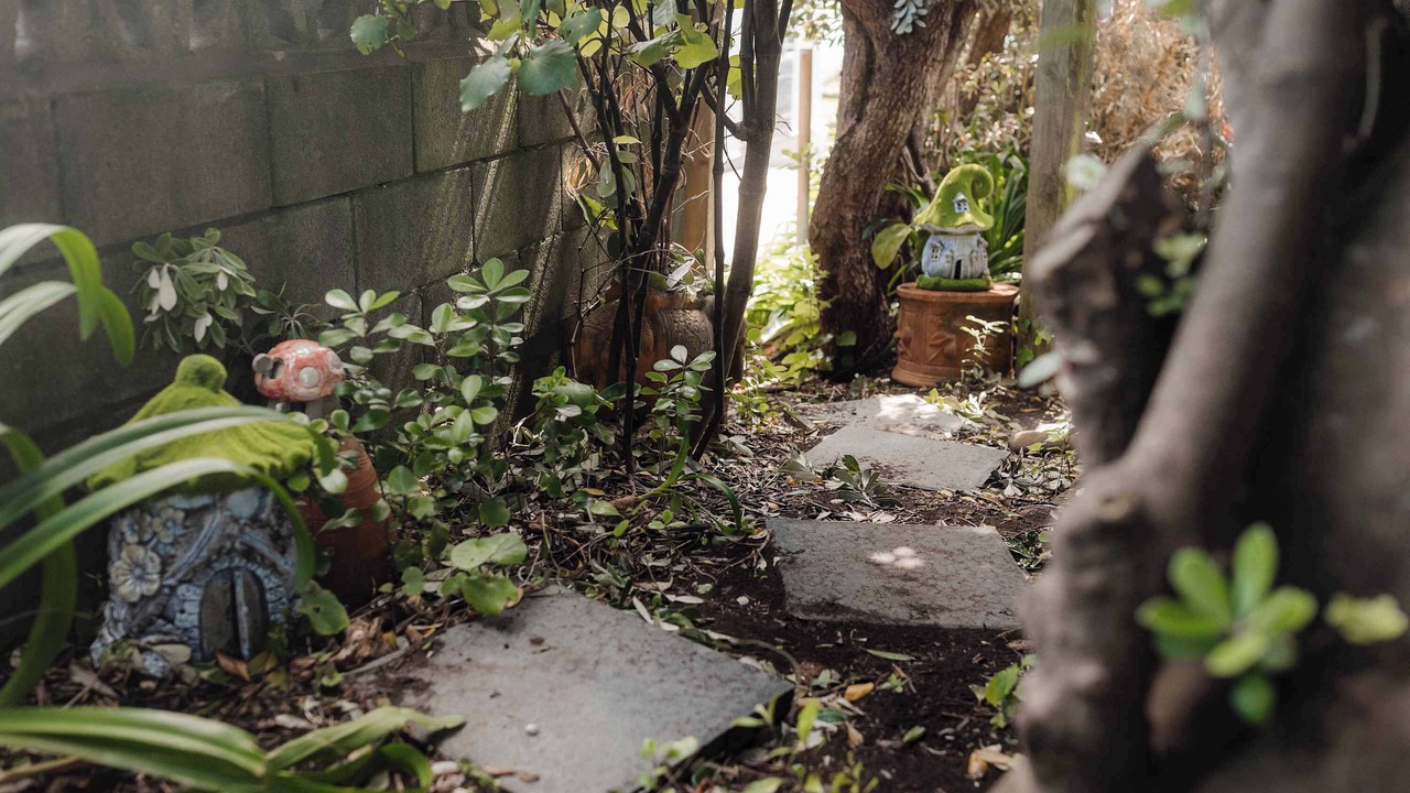 Photo of Outdoor in Oakura