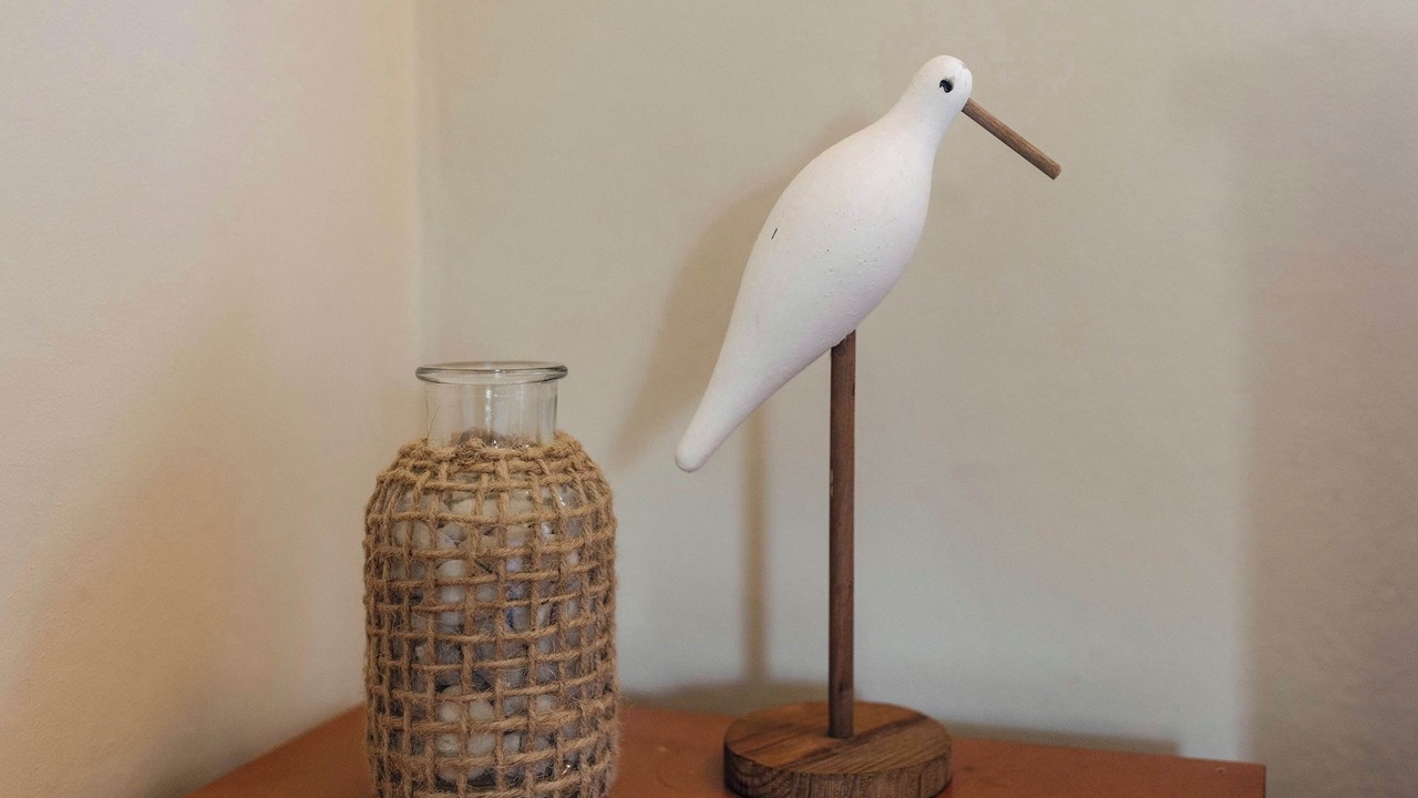 Photo of Others in Oakura