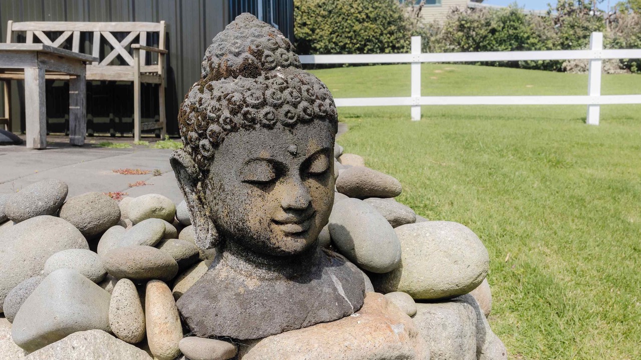 Photo of Outdoor in Oakura