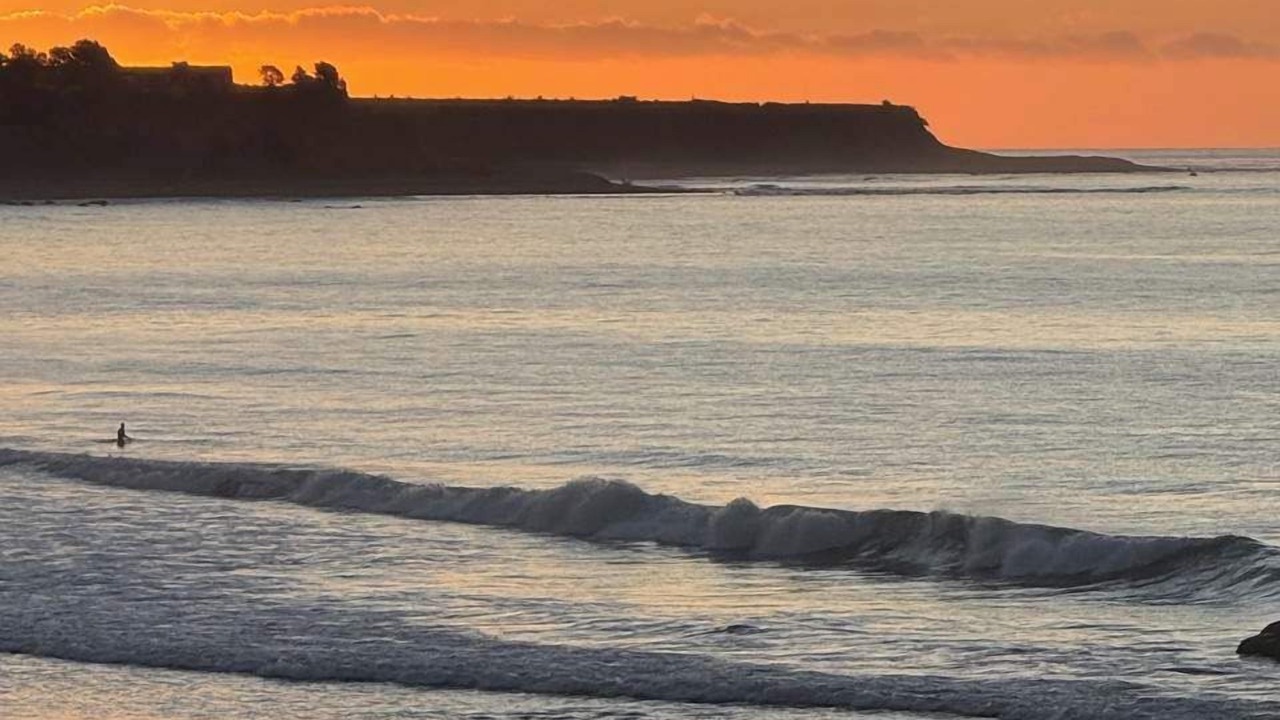 Photo of Others in Oakura