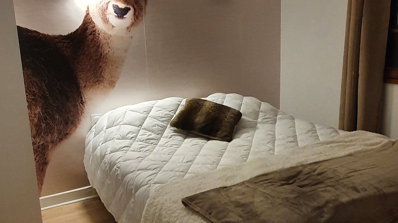 Photo of Bedroom in Sarrancolin