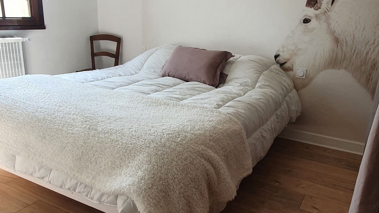 Photo of Bedroom in Sarrancolin