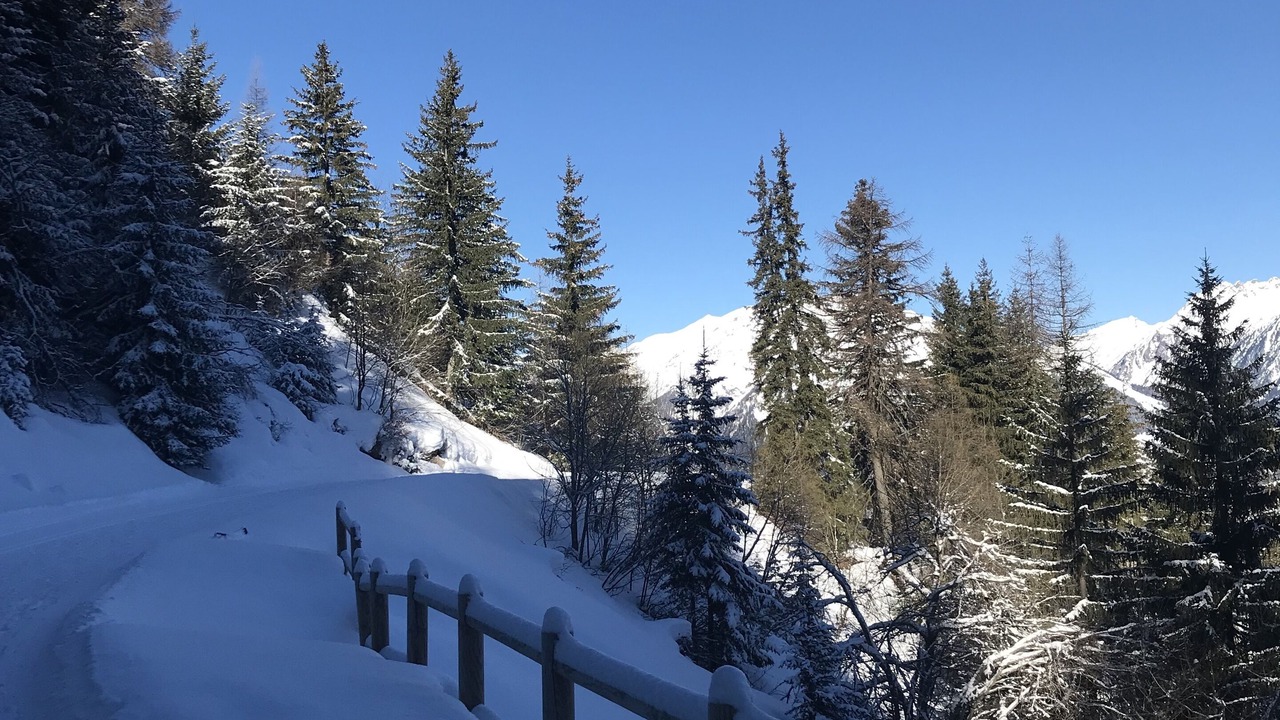 Photo of Others in La Roche