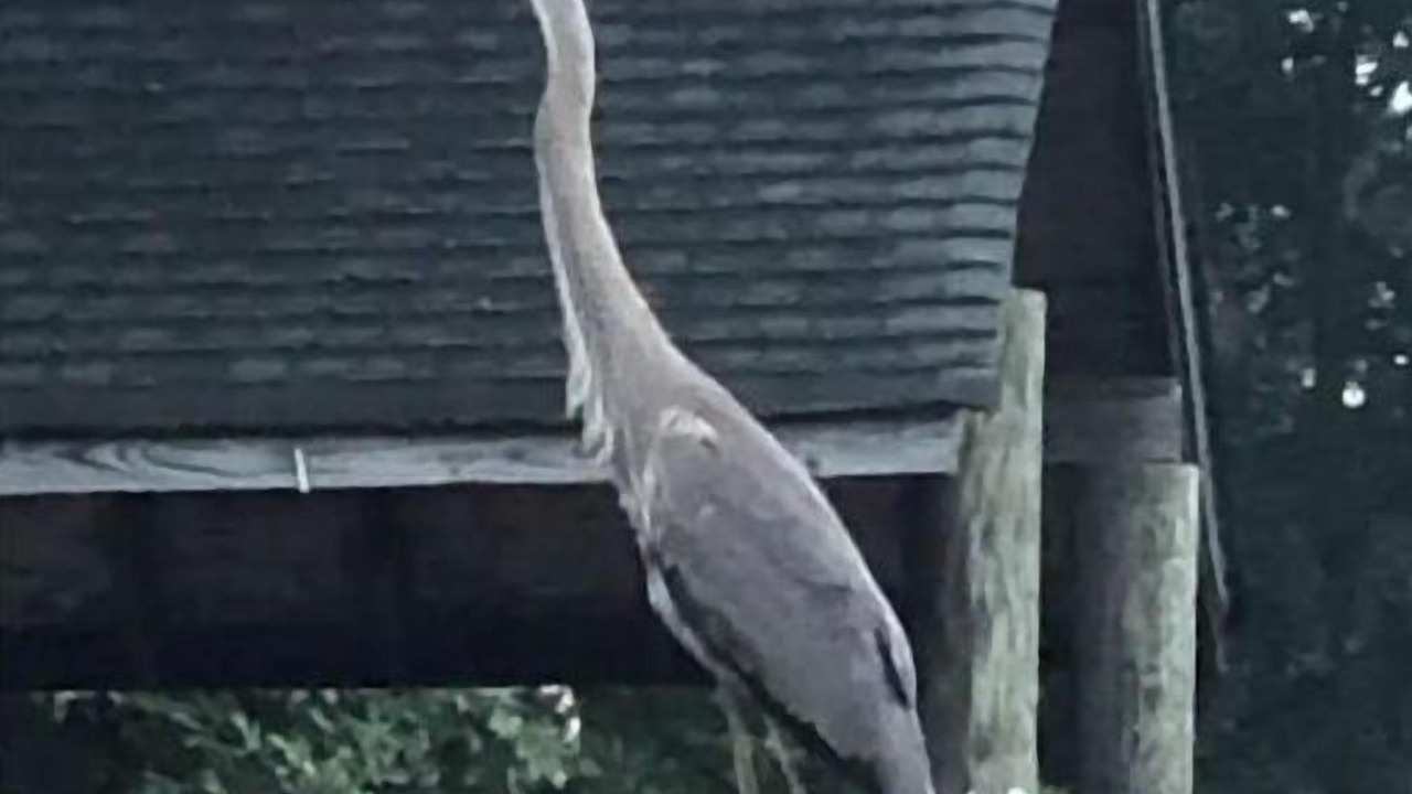 Photo of Others in Annapolis