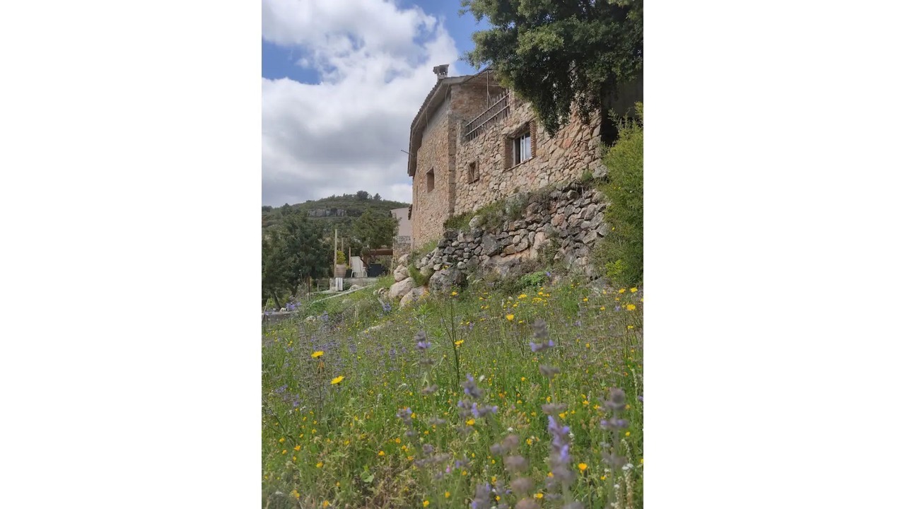 Photo of Others in Castellon Province