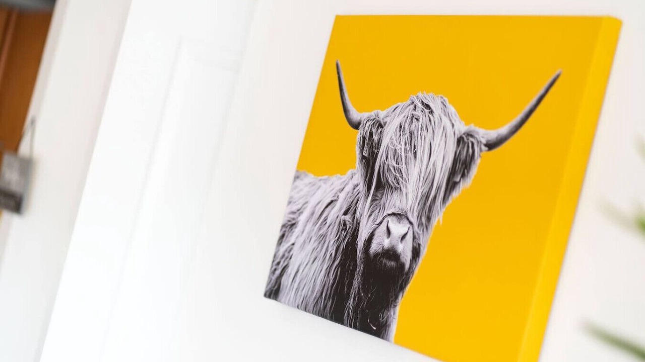 Photo of Others in Dundee