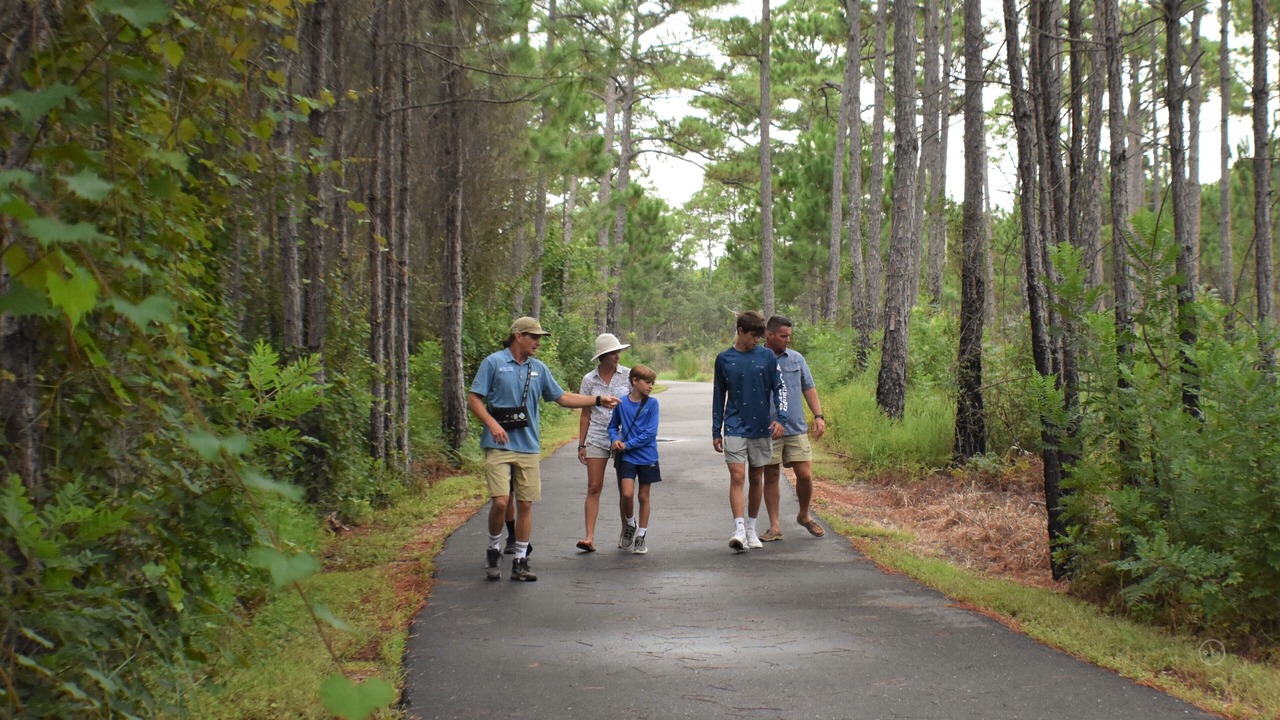 Photo of Outdoor in Gulf Shores