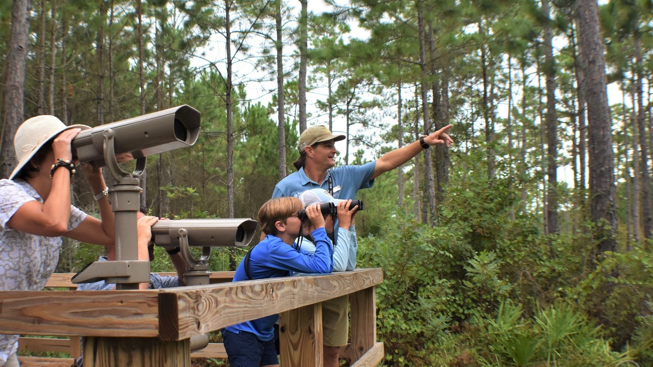 Photo of Others in Gulf Shores