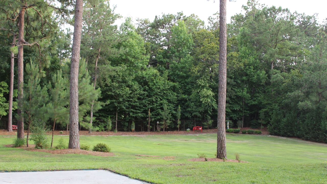 Photo of Outdoor in Pinehurst