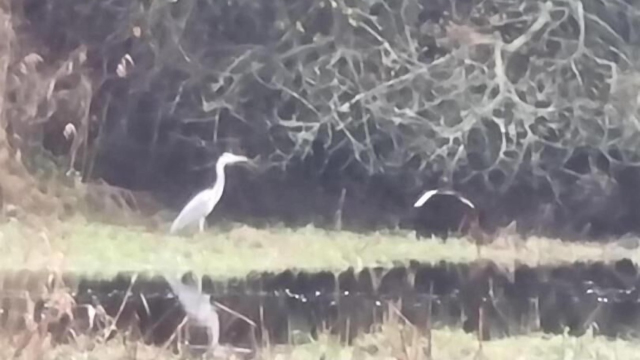 Photo of Others in Brech