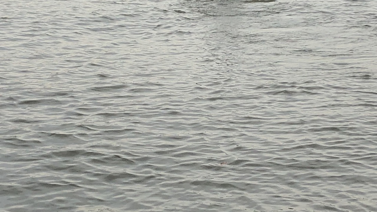 Photo of Others in Koontz Lake