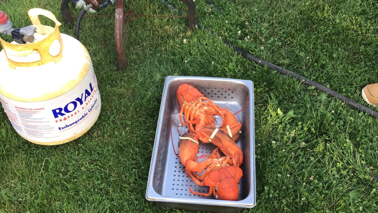 Photo of Others in Western Shore