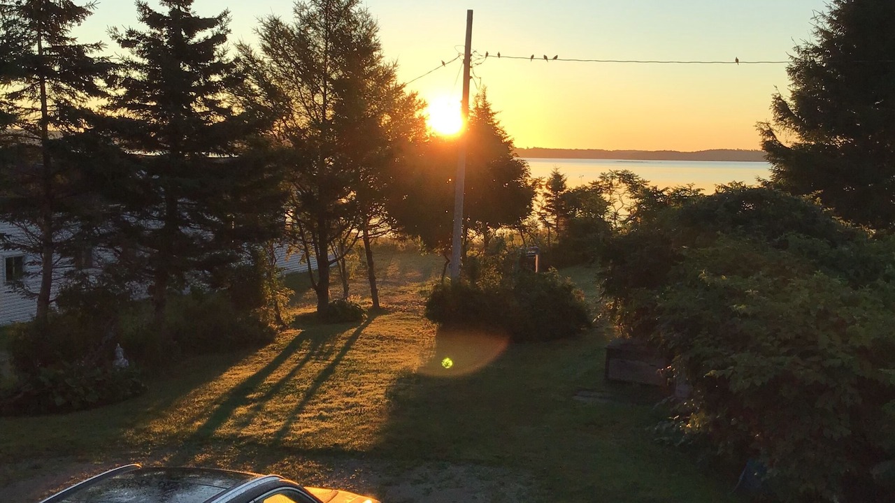 Photo of Others in Western Shore