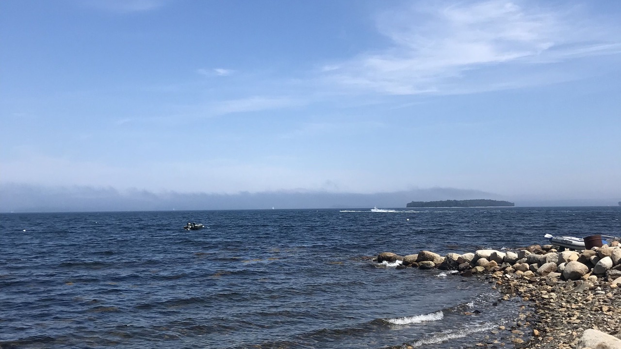 Photo of Others in Western Shore