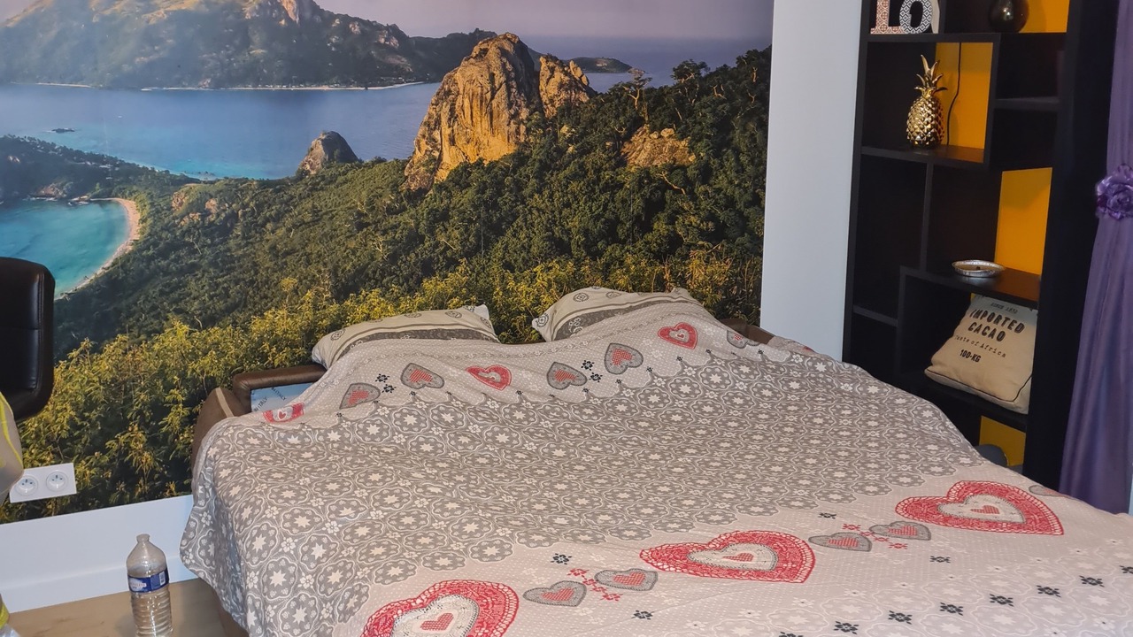 Photo of Bedroom in Castres