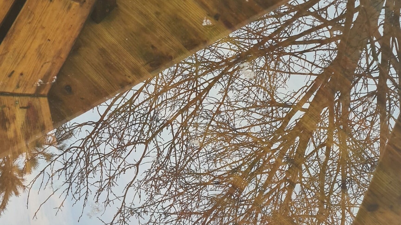 Photo of Outdoor in Castres