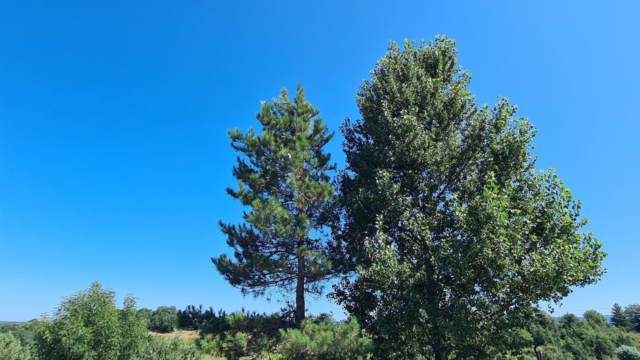Photo of Outdoor in Castres