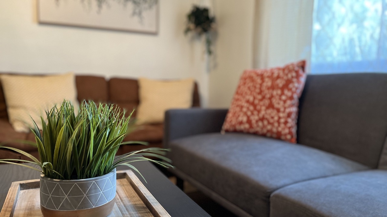 Photo of Livingroom in Land O' Lakes