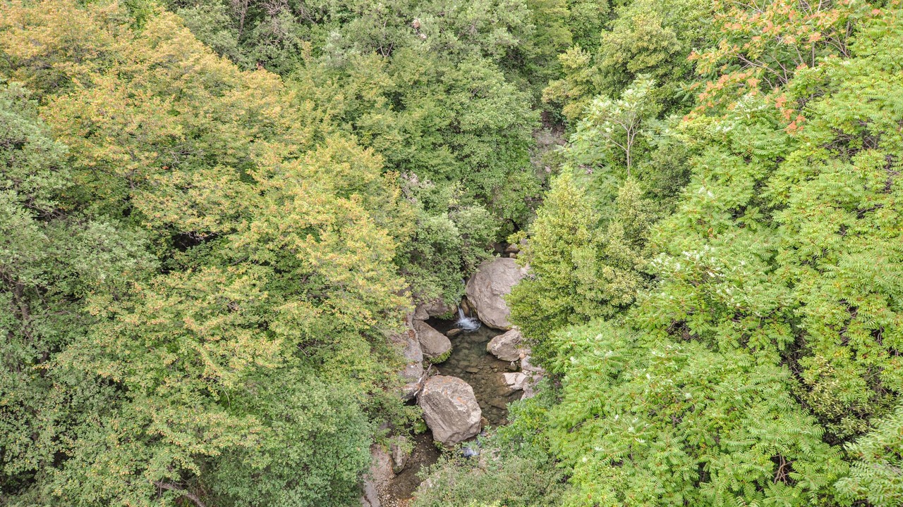 Photo of Others in Saint-Jeannet