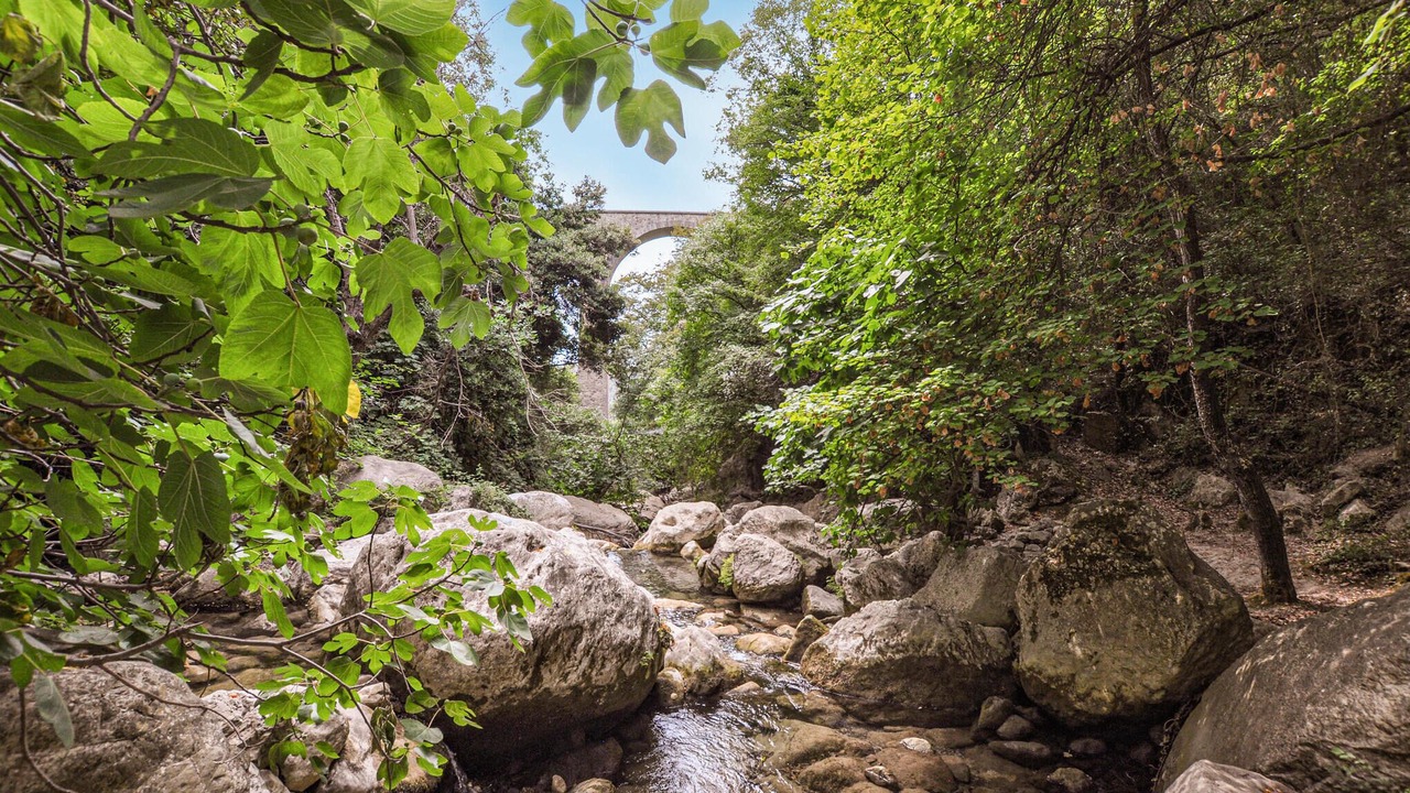 Photo of Others in Saint-Jeannet