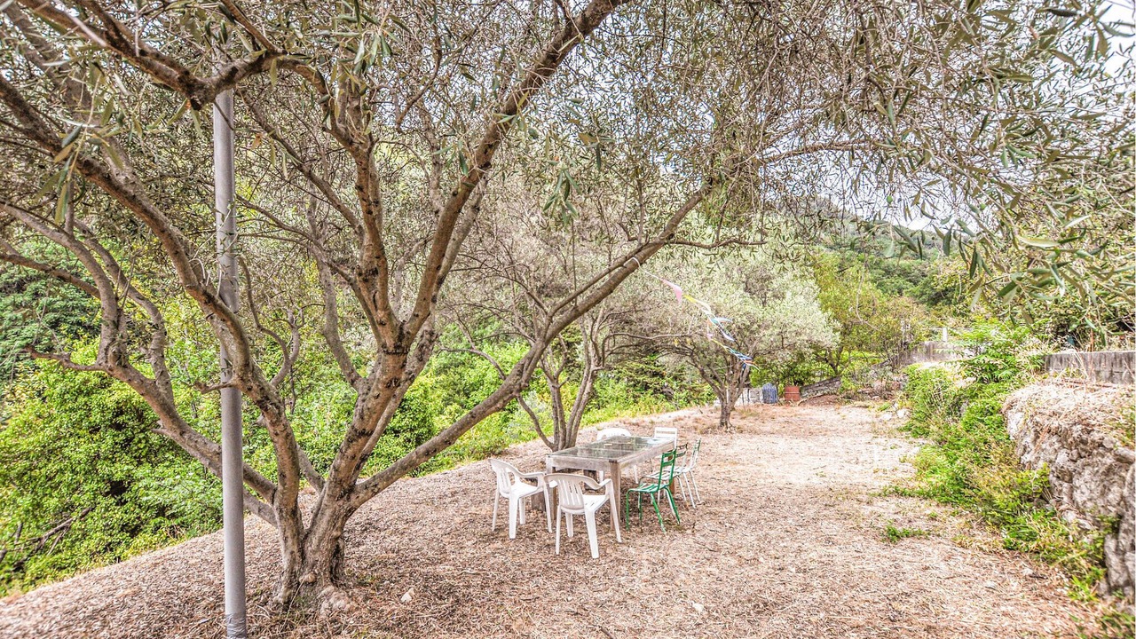 Photo of Others in Saint-Jeannet