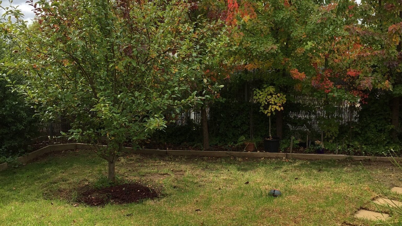 Photo of Outdoor in Maryborough