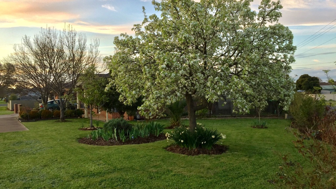 Photo of Outdoor in Maryborough