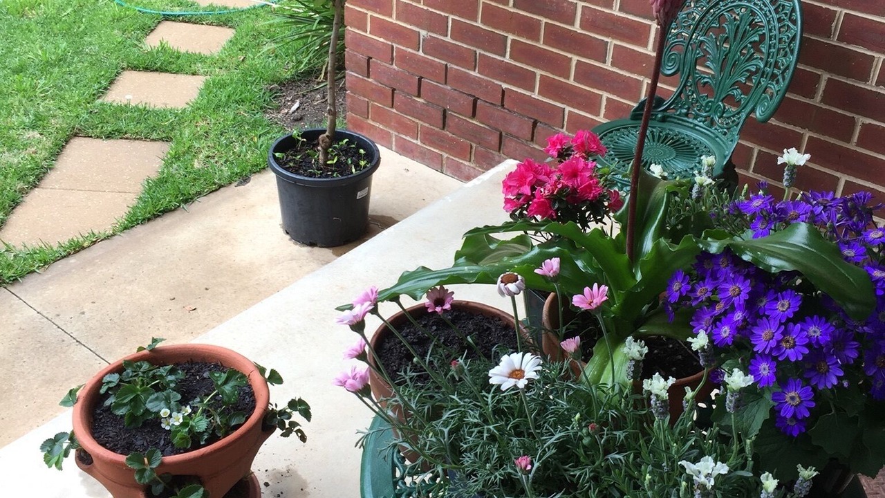 Photo of Outdoor in Maryborough