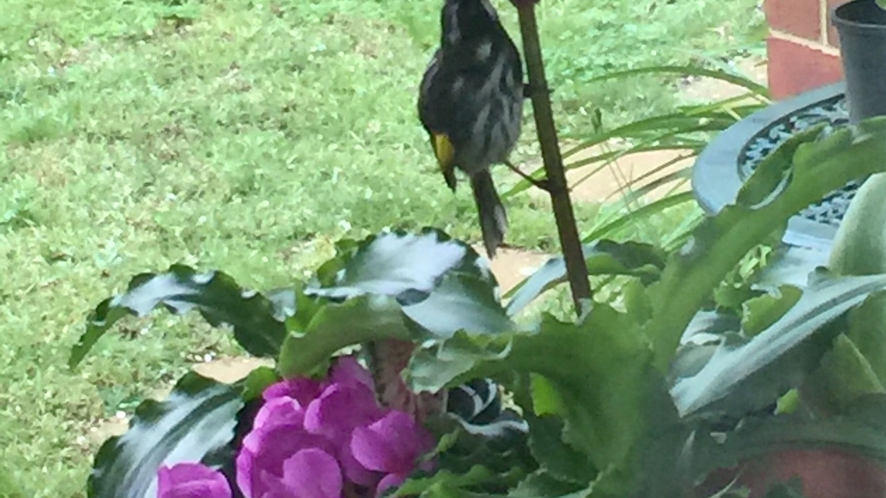 Photo of Outdoor in Maryborough