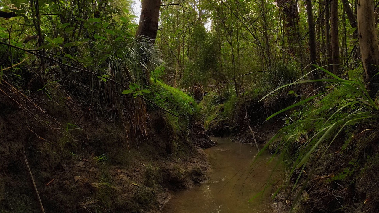 Photo of Others in Strathewen