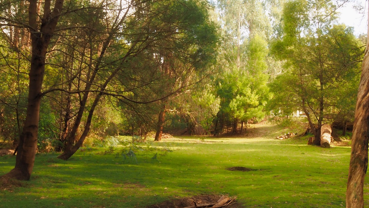 Photo of Others in Strathewen