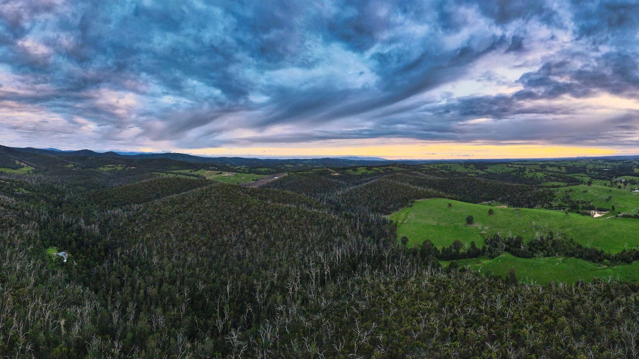 Photo of Others in Strathewen