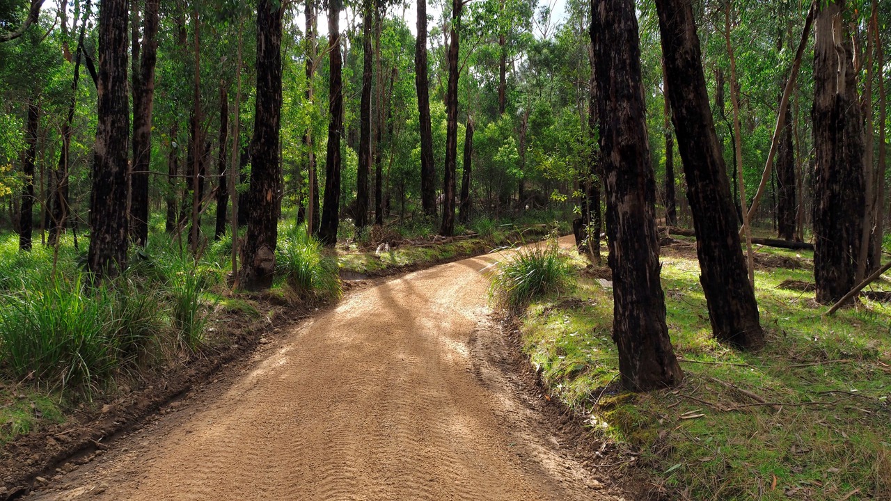 Photo of Others in Strathewen