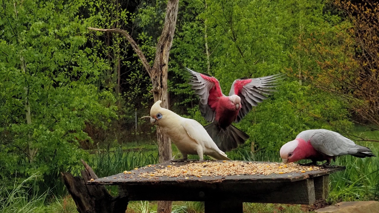 Photo of Bedroom in Strathewen