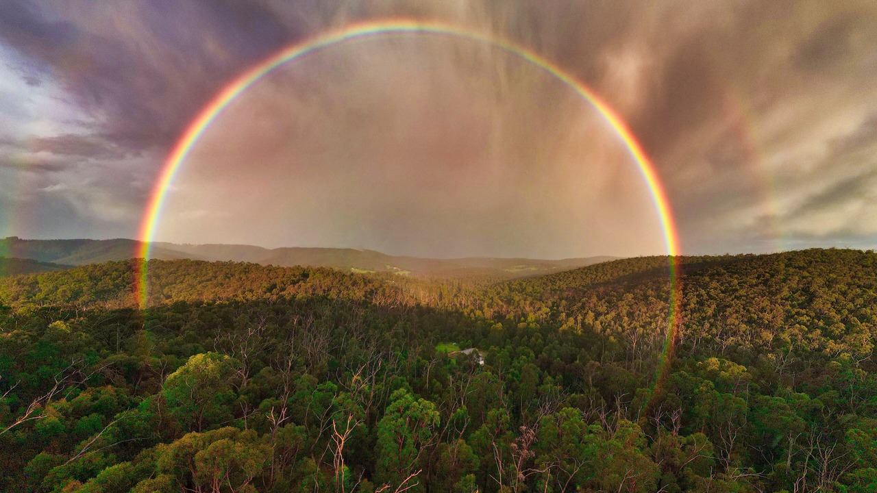 Photo of Others in Strathewen