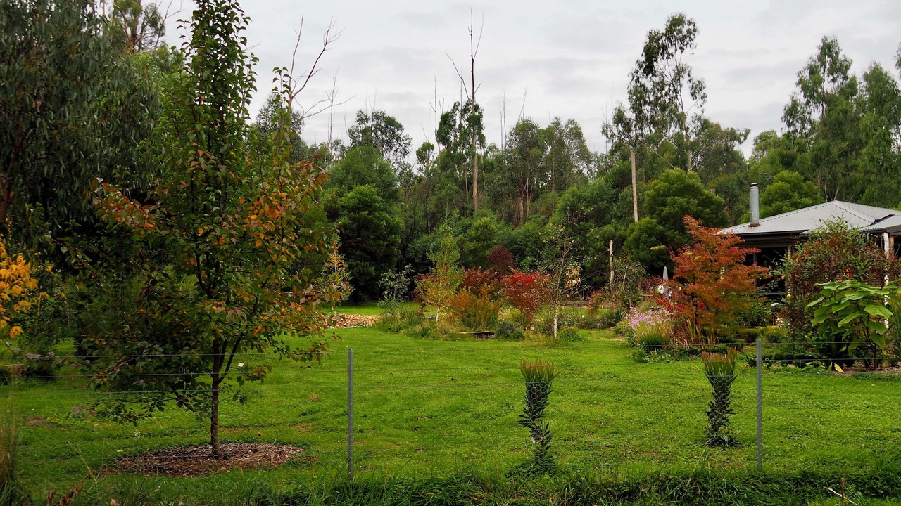 Photo of Outdoor in Strathewen