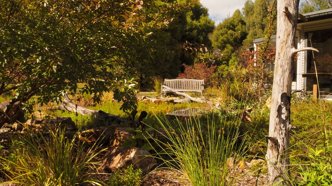 Photo of Outdoor in Strathewen