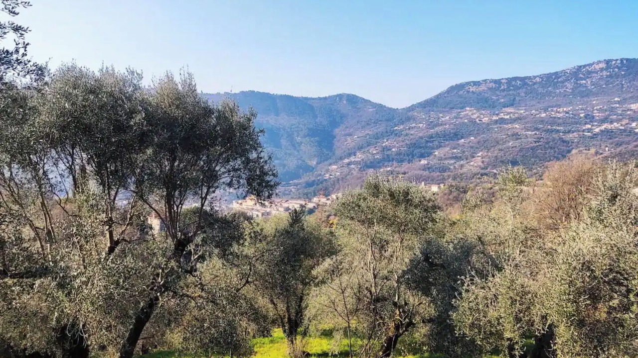 Photo of Outdoor in Contes