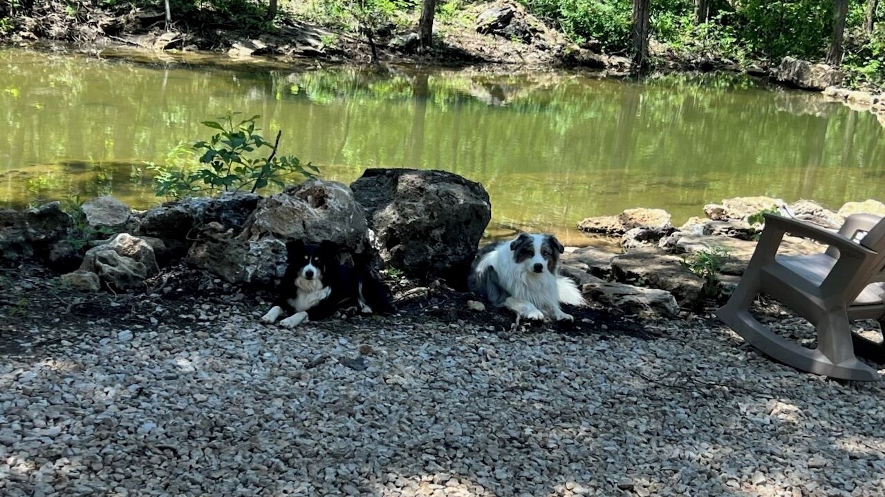Photo of Outdoor in Montier
