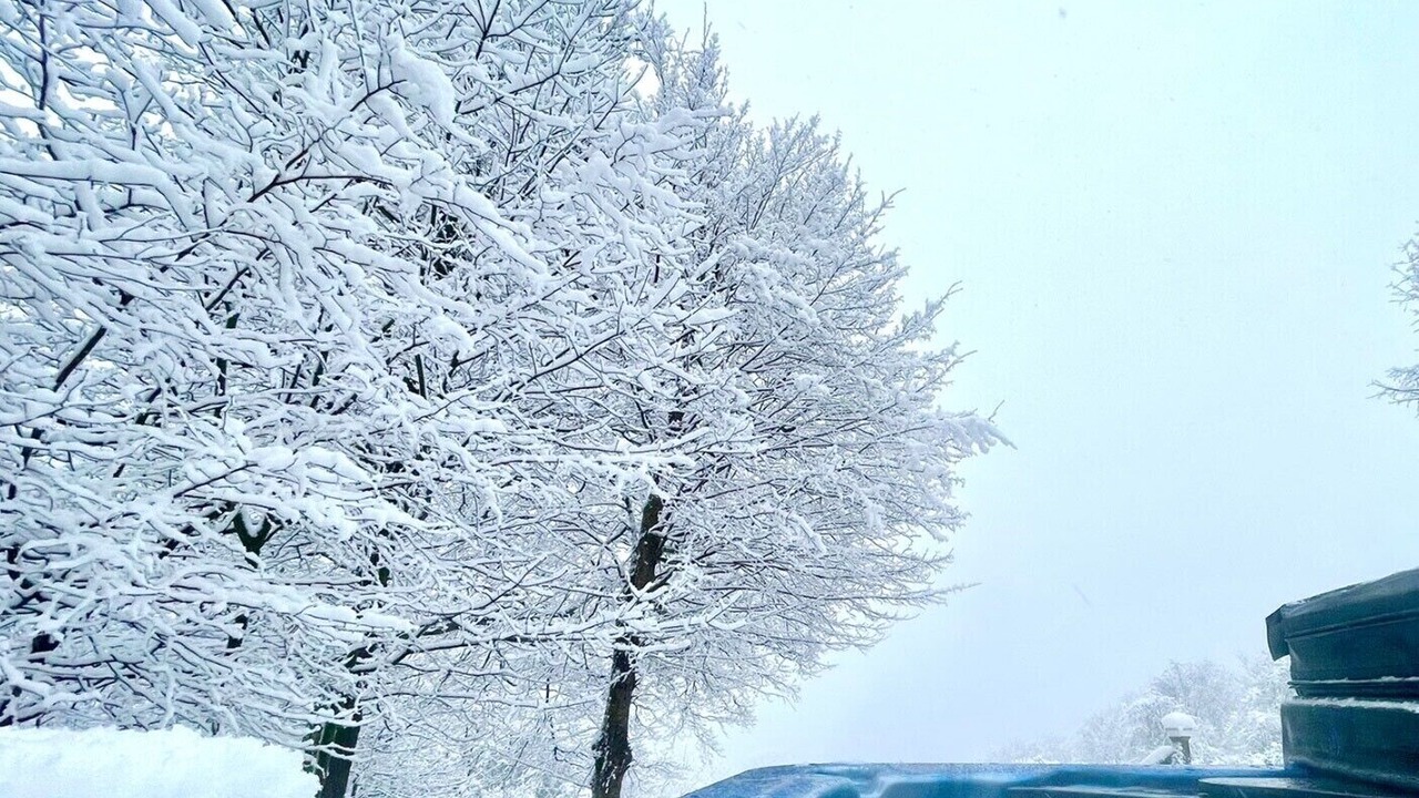 Photo of Outdoor in Moravia