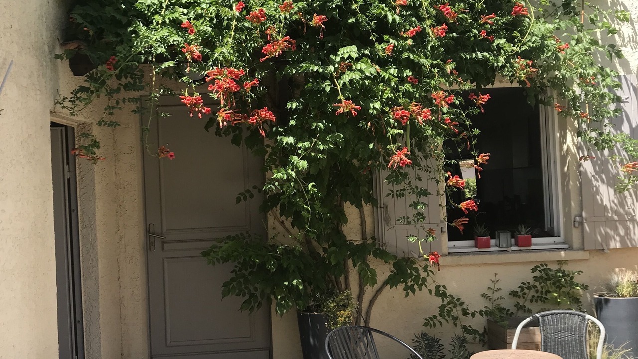 Photo of Patio Balcony in Nord