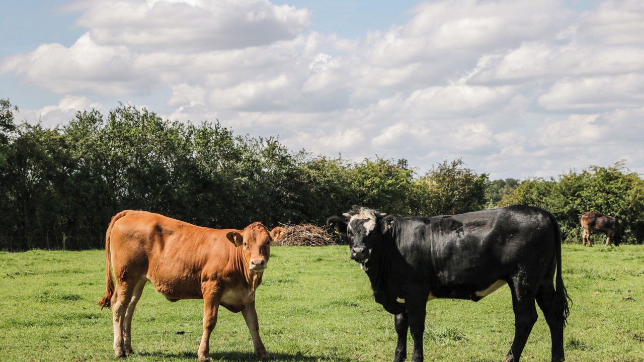 Photo of Outdoor in South Leigh