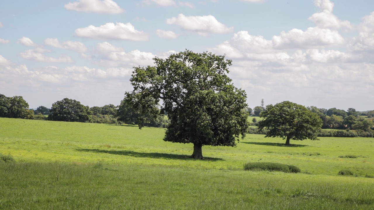 Photo of Others in South Leigh