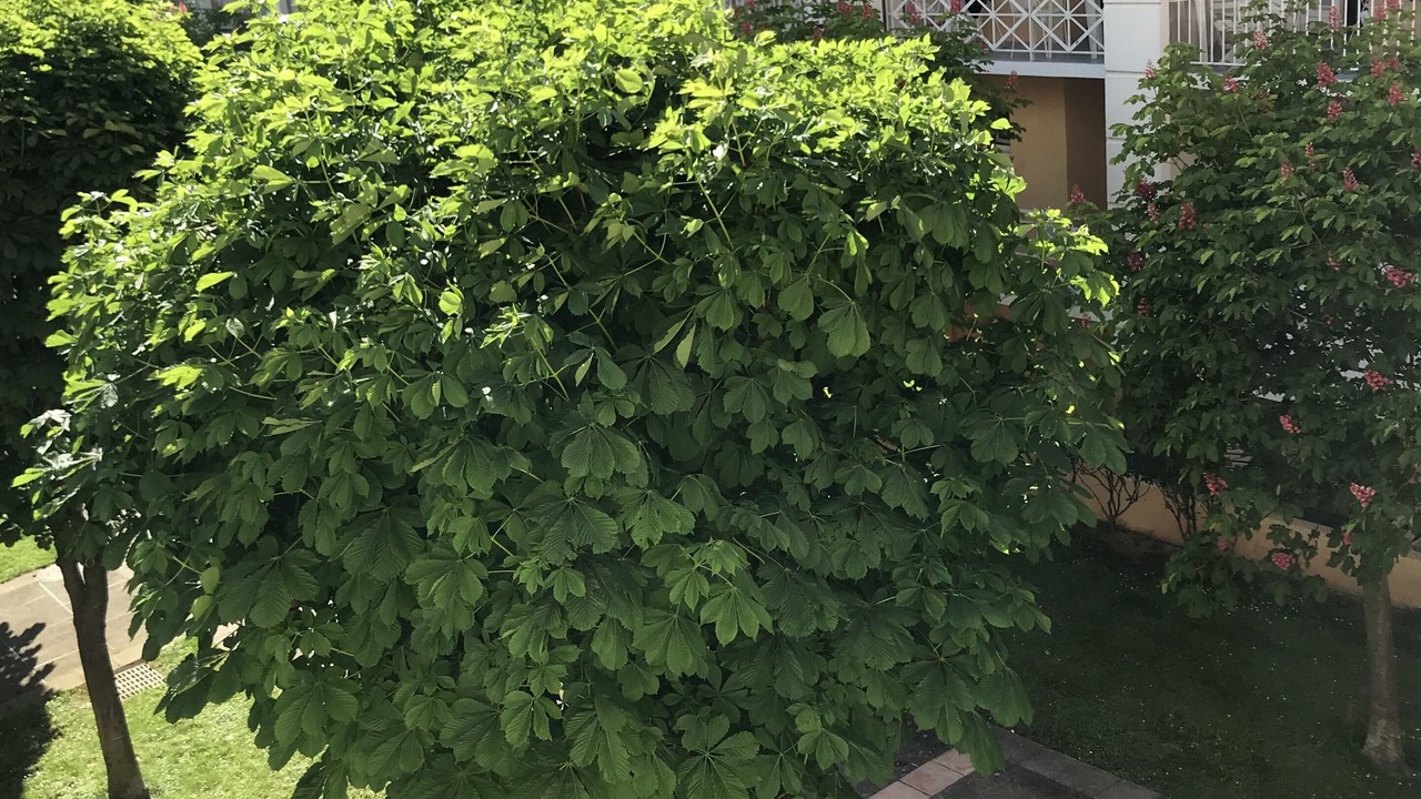 Photo of Outdoor in Lamalou-les-Bains