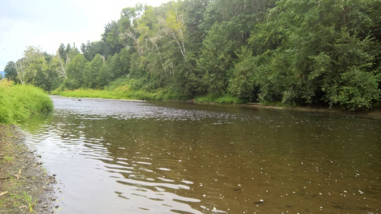 Photo of Others in Curtis