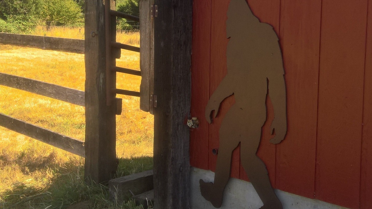 Photo of Outdoor in Curtis