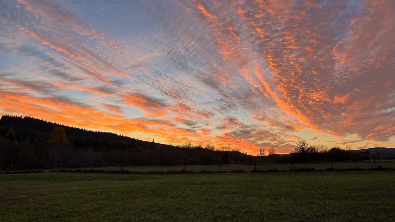 Photo of Others in Curtis